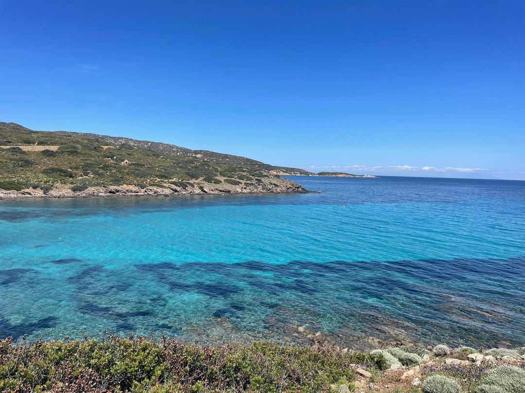 Minibus elettrico Visit Asinara